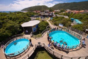 projeto-tamar-florianopolis-barra-da-lagoa