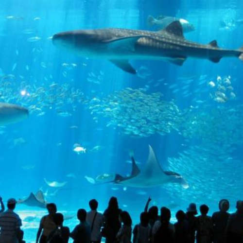 imagem_2024-03-11_134816042