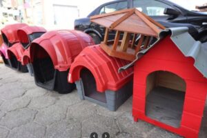 Agropecoaria Alvorada 4 Agropecoaria Alvorada 4