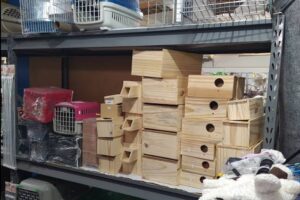 Agropecoaria Alvorada 8 Agropecoaria Alvorada 8