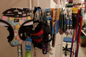 Dog Show 3 Dog Show 3