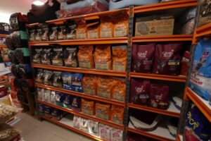 Dog Show 6 Dog Show 6