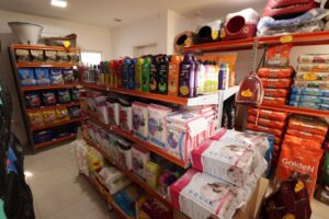 Dog Show 7 Dog Show 7