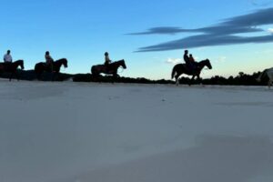 A cavalo 7 A cavalo 7