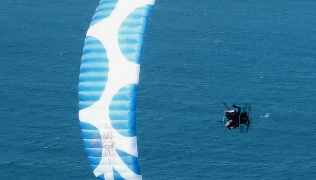 Gemini_Generated_Image_qhybr1qhybr1qhyb