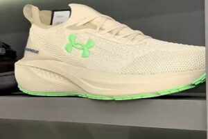 Sem crise Logo Imagem 8