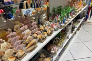 WhatsApp Image 2025-12-23 at 11.23.08 WhatsApp Image 2025-12-23 at 11.23.08