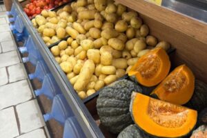 WhatsApp Image 2026-01-09 at 12.59.16 (1)