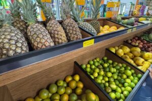 WhatsApp Image 2026-01-09 at 12.59.20